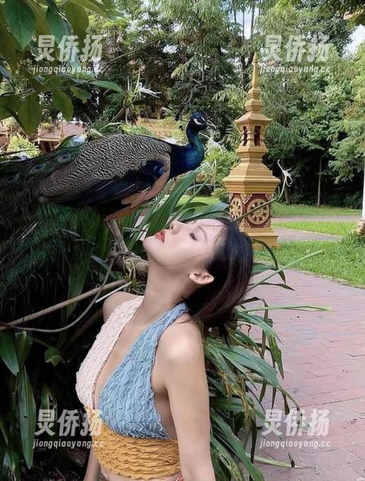 就是阿朱啊 微密圈 - 不怕油亮被抢光!就是阿朱啊的图包限时免费放送!