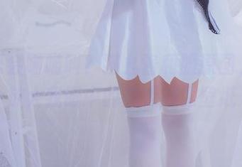 谁说只会喵喵叫？猫九酱和服原图，完美放大我眼中的美无疑是壁纸